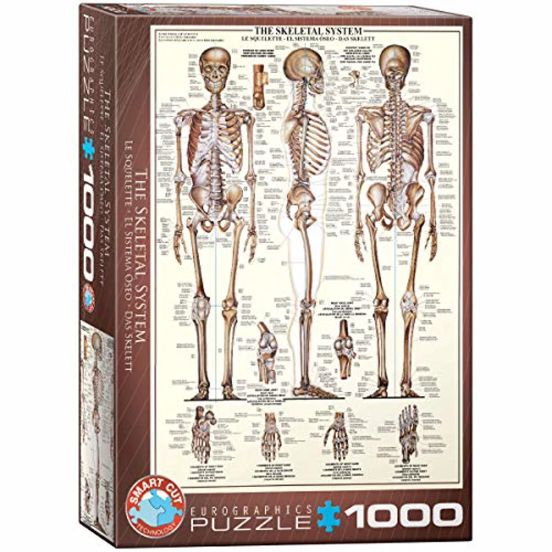 Eurographics - Rompecabezas, 1000 Piezas (EG60003970)